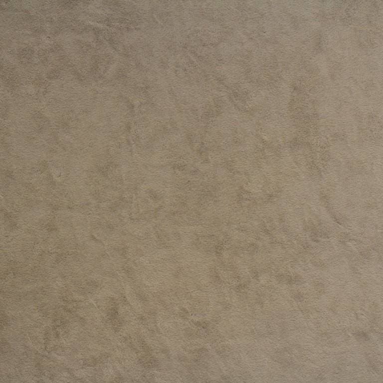 lambi_03-web.jpg