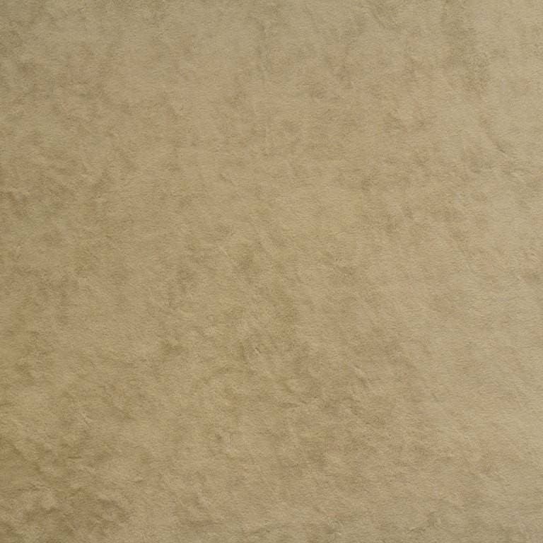 lambi_02-web.jpg